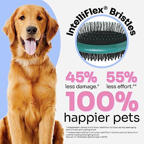 Dual-Sided Dog Grooming Brush - Soft Bristles