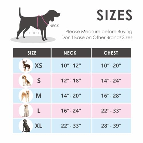 Reflective No-Pull Dog Harness with Handle