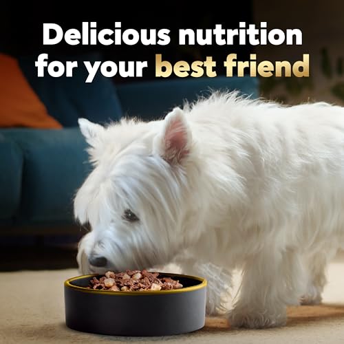 Cesar Wet Dog Food Variety Pack (24)