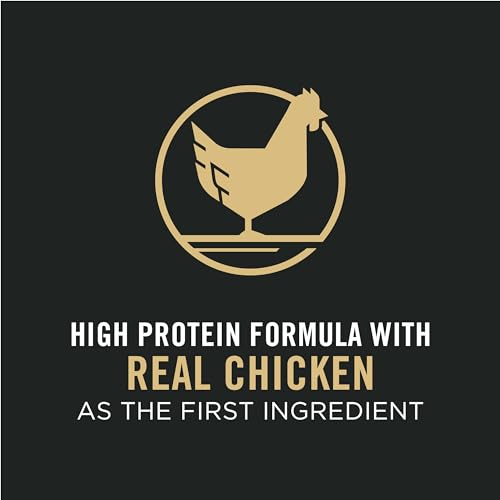Pro Plan Small Breed Dog Food - Chicken & Rice Blend