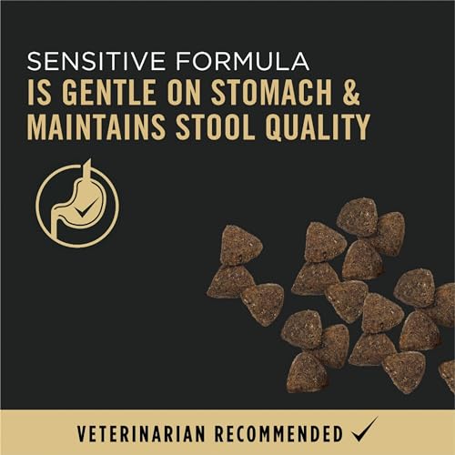 30 lb Purina Salmon & Rice Dog Food