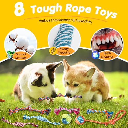 20 Pack Luxury Dog Chew Toys for Small Dogs