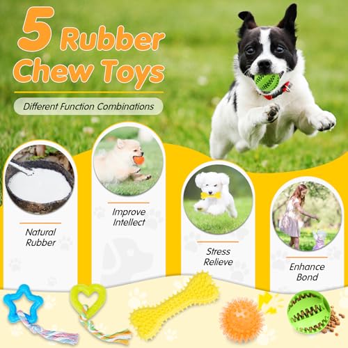 20 Pack Luxury Dog Chew Toys for Small Dogs