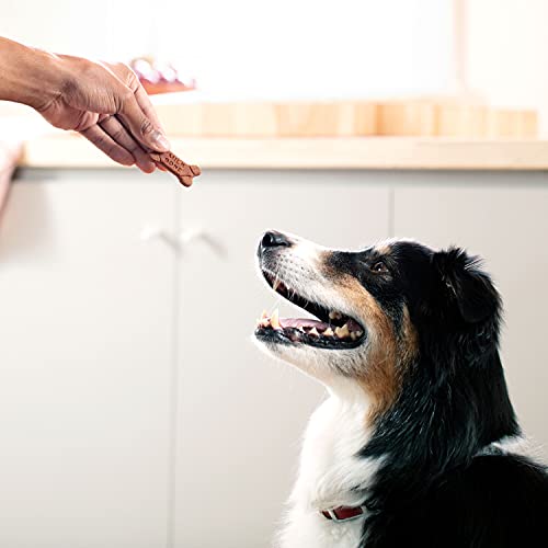 Chicken Milk-Bone Soft & Chewy Dog Treats, 25oz