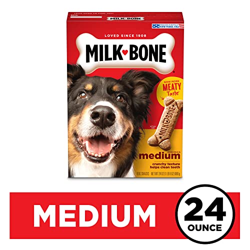 Milk-Bone Original Dog Treats for Medium Dogs (24oz)