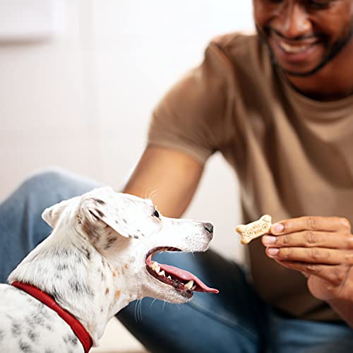 Milk-Bone Original Dog Treats for Medium Dogs (24oz)