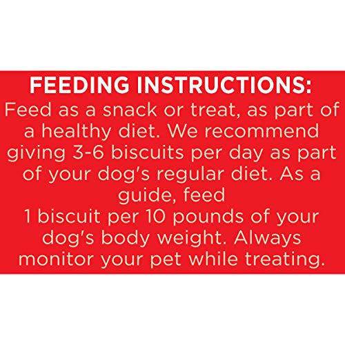 Milk-Bone Original Dog Treats for Medium Dogs (24oz)