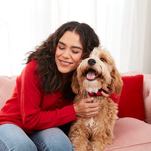 Mini Milk-Bone Sweetheart Dog Treats - 25 oz