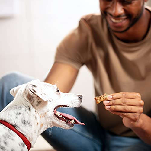 Milk-Bone Mini Crunchy Dog Biscuits, 36oz