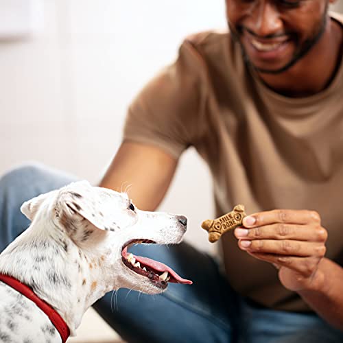 Small Milk-Bone Flavor Snacks, 7 Pounds
