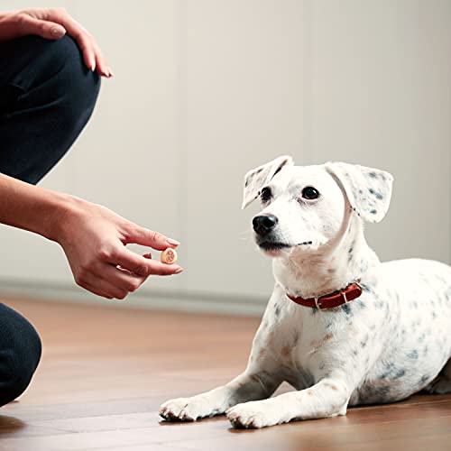 Milk-Bone Beef MaroSnacks Dog Treats, 40oz