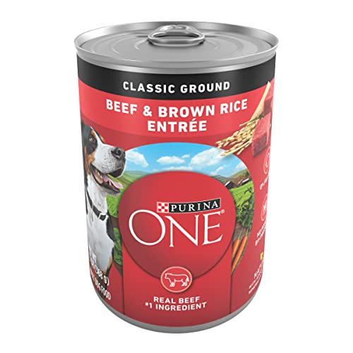 Purina ONE Beef and Brown Rice Wet Dog Food - (12) 13 oz. Cans