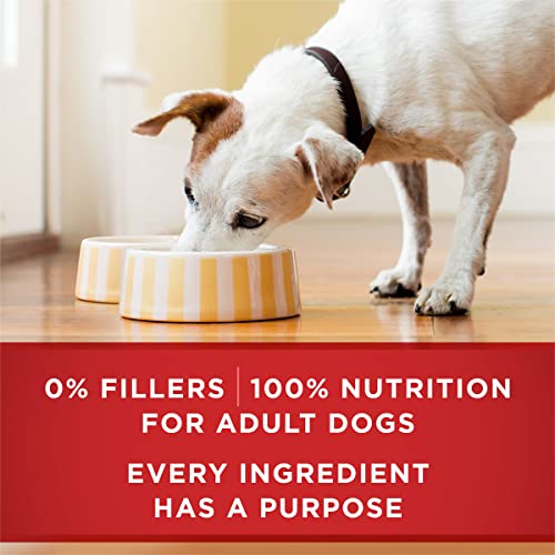 Purina ONE Beef and Brown Rice Wet Dog Food - (12) 13 oz. Cans