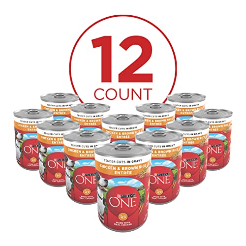 Purina ONE Chicken & Brown Rice Wet Dog Food