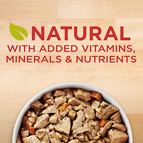 Purina ONE Chicken & Brown Rice Wet Dog Food