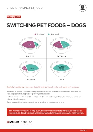 Purina ONE Beef and Brown Rice Wet Dog Food - (12) 13 oz. Cans