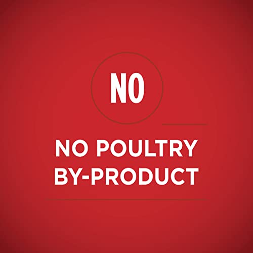 Purina ONE Chicken & Brown Rice Wet Dog Food