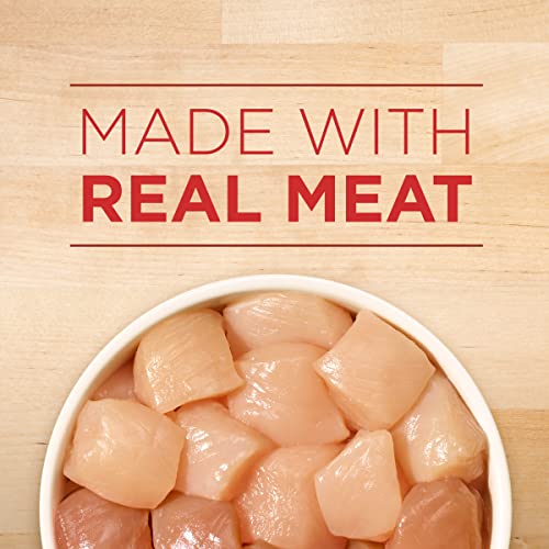 Purina ONE Chicken & Brown Rice Wet Dog Food