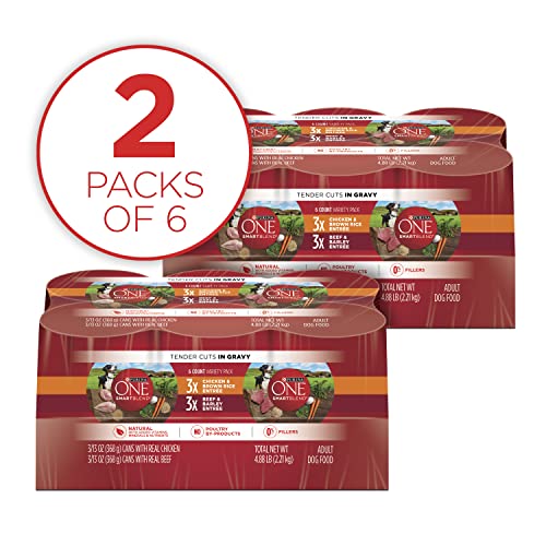 Purina ONE Tender Cuts Wet Dog Food Variety Pack