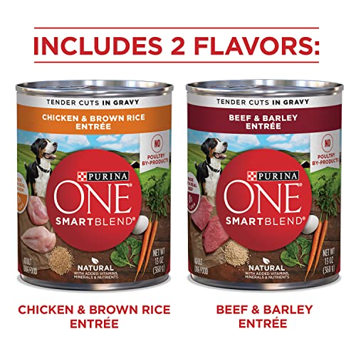 Purina ONE Tender Cuts Wet Dog Food Variety Pack