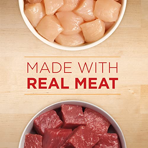 Purina ONE Tender Cuts Wet Dog Food Variety Pack