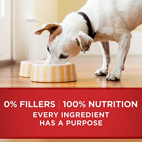 Purina ONE Tender Cuts Wet Dog Food Variety Pack