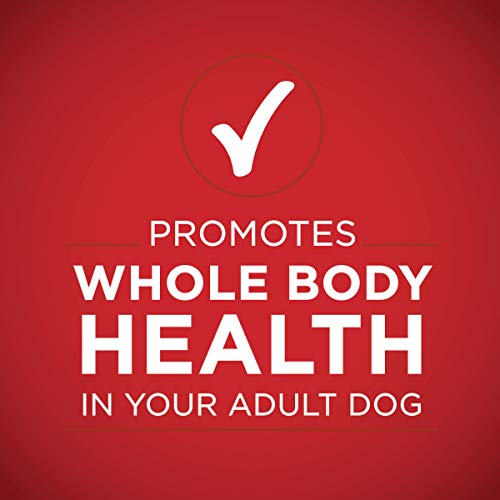 Purina ONE Tender Cuts Wet Dog Food Variety Pack