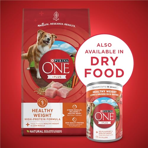 12 Cans of Purina ONE Plus Lamb and Brown Rice Dog Food