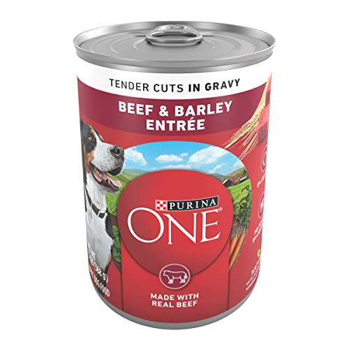 Purina ONE Beef & Barley Wet Dog Food - 12 Cans