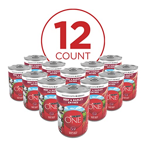 Purina ONE Beef & Barley Wet Dog Food - 12 Cans