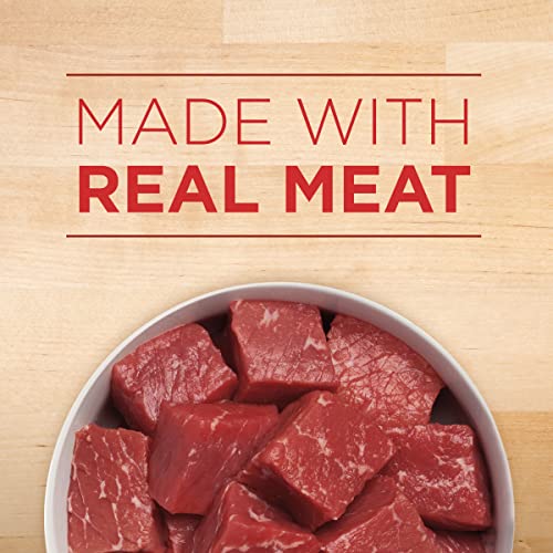 Purina ONE Beef & Barley Wet Dog Food - 12 Cans