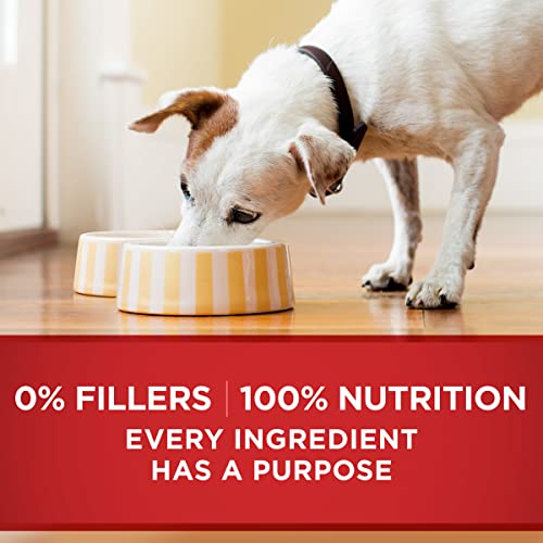 Purina ONE Beef & Barley Wet Dog Food - 12 Cans