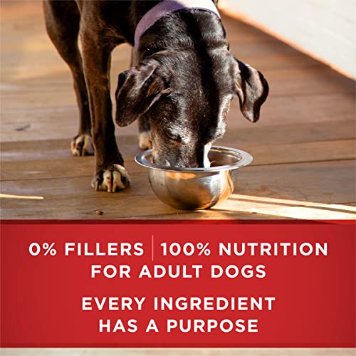 Purina ONE Plus Vibrant Maturity Turkey Senior Dog Food