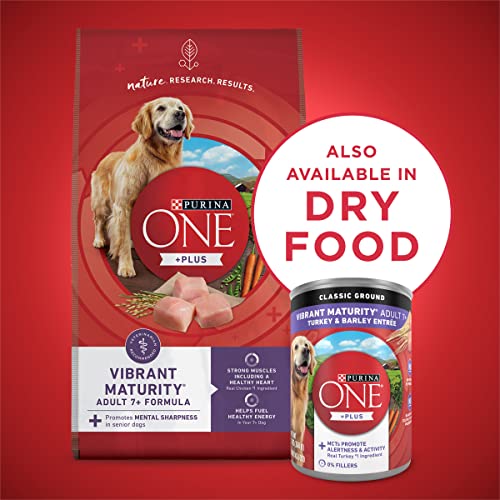 Purina ONE Plus Vibrant Maturity Turkey Senior Dog Food
