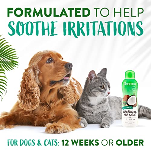 Medicated Allergy Relief Dog Shampoo | Tea Tree & Oatmeal