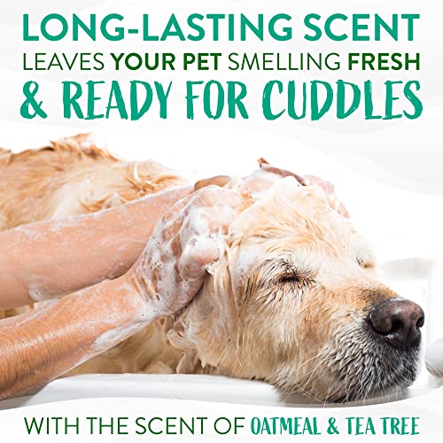 Medicated Allergy Relief Dog Shampoo | Tea Tree & Oatmeal