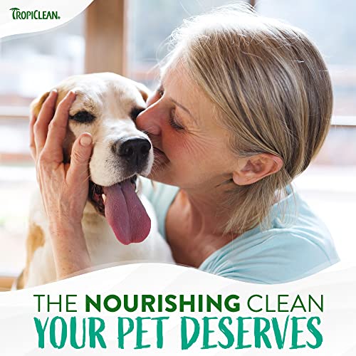 Medicated Allergy Relief Dog Shampoo | Tea Tree & Oatmeal
