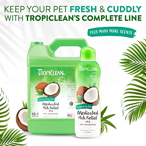 Medicated Allergy Relief Dog Shampoo | Tea Tree & Oatmeal