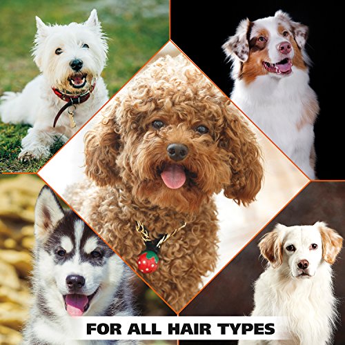 Wahl USA 4-in-1 Calming Pet Shampoo