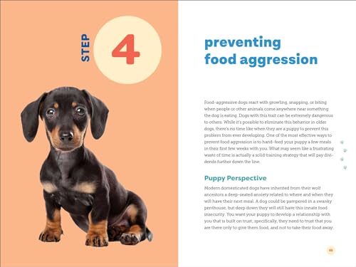7 Steps to Perfect Puppy Training Guide Book