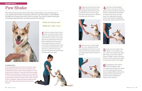 Ultimate Dog Trick Book: 118 Amazing Tricks & Stunts