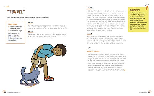 Fun and Easy Dog Training for Kids