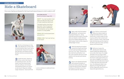 Ultimate Dog Trick Book: 118 Amazing Tricks & Stunts