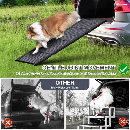 63" Long Dog Ramp for Car, SUV & Truck