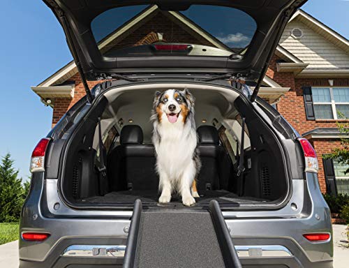 PetSafe Happy Ride Portable Pet Ramp with Siderails