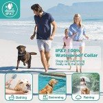 Electric Dog Training Collar with Remote, Waterproof, Rechargeable