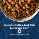 Blue Buffalo Puppy Food with Red Meat 4.5lbs