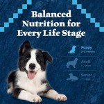 Blue Buffalo Puppy Food with Red Meat 4.5lbs