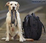American Flag Thin Blue Line Dog Leash