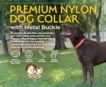 Premium Nylon Dog Collar - 25+ Colors